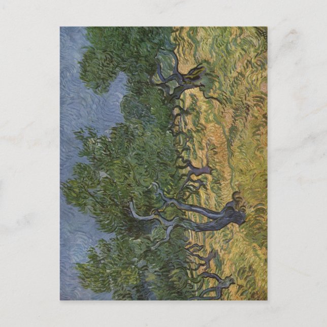 Gogh, Vincent van Olivenhain 1889 Technique ?l auf Postkarte (Vorderseite)