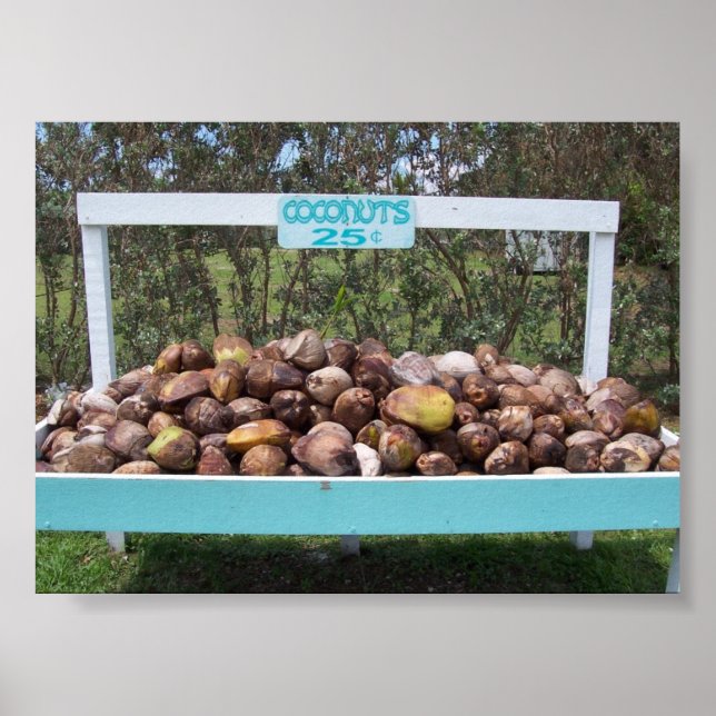 Going Coconuts Poster (Vorne)