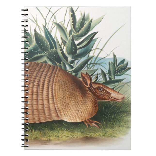Gold Beige Nine-banded Armadillo Notizblock (Vorderseite)