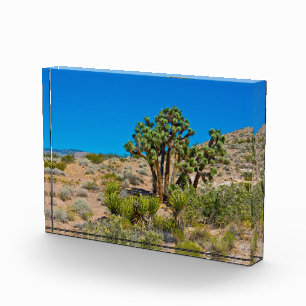 Gold Butte National Monument Fotoblock