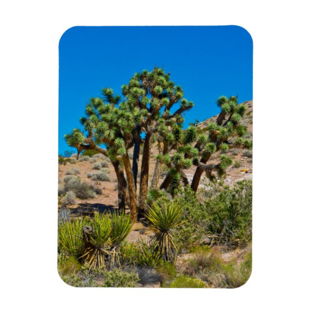 Gold Butte National Monument Magnet (Vertikal)