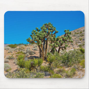 Gold Butte National Monument Mousepad
