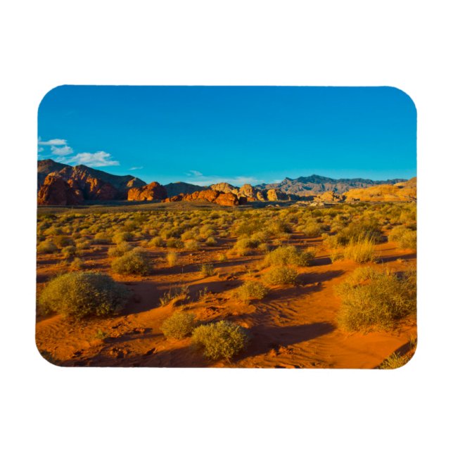 Gold Butte National Monument, Mud Road Vista Magnet (Horizontal)