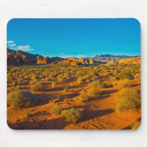 Gold Butte National Monument, Mud Road Vista Mousepad