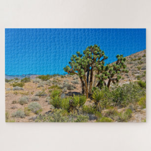 Gold Butte National Monument Puzzle