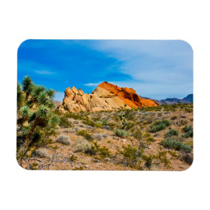 Gold Butte National Monument, Whitney Pocket Magnet