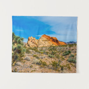 Gold Butte National Monument, Whitney Pocket Wandteppich