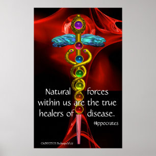 GOLD CADUCEUS, 7 CHAKRAS, Heilung, Medizin, Yoga Poster