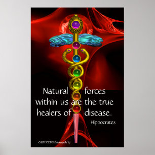 GOLD CADUCEUS, 7 CHAKRAS, Heilung, Medizin, Yoga Poster