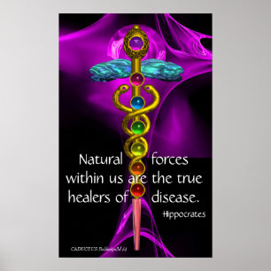 GOLD CADUCEUS, 7 CHAKRAS, LILA ROSE Medizin,Yoga Poster