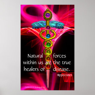 GOLD CADUCEUS,7 CHAKRAS,PINK FRAKTAL WAVES Medical Poster