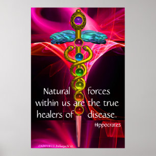GOLD CADUCEUS,7 CHAKRAS,PINK FRAKTAL WAVES Medical Poster