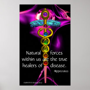 GOLD CADUCEUS,7 CHAKRAS, ULTRA VIOLET Medizin,Yoga Poster