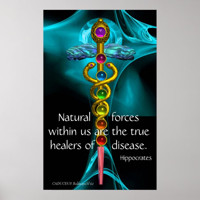 GOLD CADUCEUS UND 7 CHAKRAS IN ROSE MIT BLAUEM FRA POSTER (Vorne)