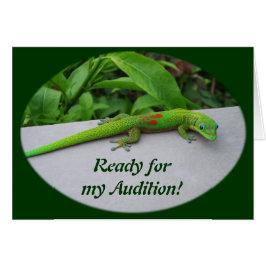 Gold Dust Day Gecko - Audition und Gecko holen
