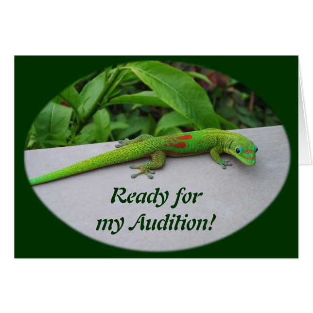 Gold Dust Day Gecko - Audition und Gecko holen (Vorderseite (Horizontal))