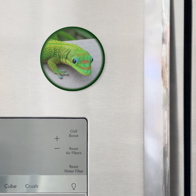 Gold Dust Day Gecko - Audition und Gecko holen Magnet (In Situ (Kühlschrank))