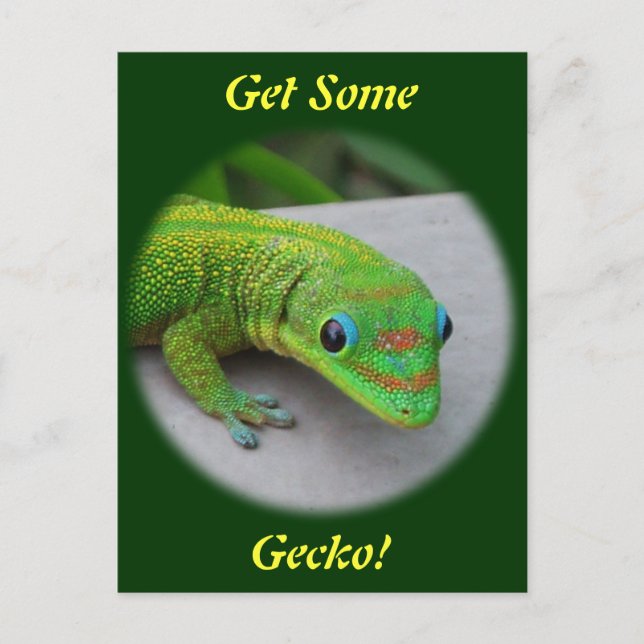 Gold Dust Day Gecko - Audition und Gecko holen Postkarte (Vorderseite)