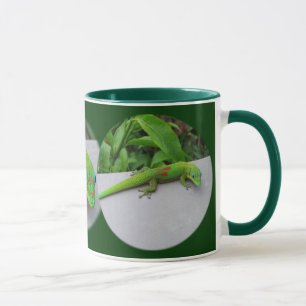 Gold Dust Day Gecko - Audition und Gecko holen Tasse