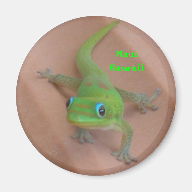 Gold Dust Day Gecko Magnet (Vorne)