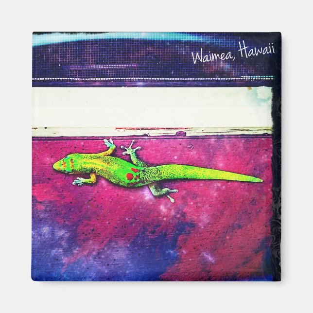 Gold Dust Day Gecko Magnet (Vorne)
