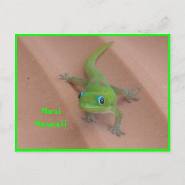 Gold Dust Day Gecko Postkarte (Vorderseite)