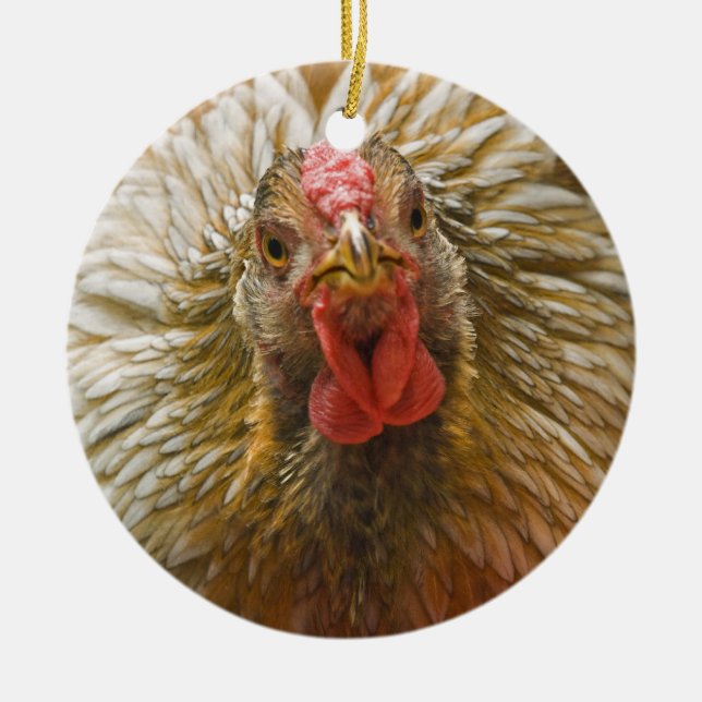Gold-Geschnürtes Wyandotte Huhn Keramik Ornament (Vorne)