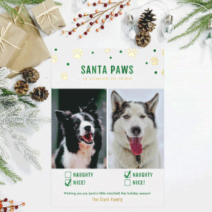 Gold & Green Naughty oder Nice Two Dog Foto Folien Feiertagskarte