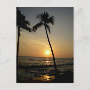 Gold Hawaiian Sunset Postkarte