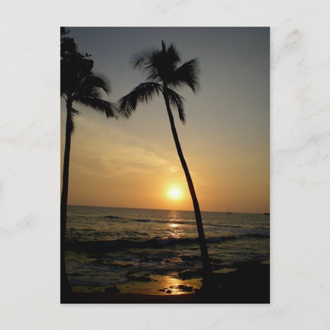 Gold Hawaiian Sunset Postkarte (Vorderseite)