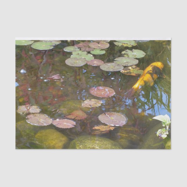 Gold Koi in Lily-Teich Seidenpapier (Vorderseite)