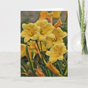 Gold Lily Scripture Card Psalm 119:127 Karte