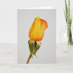 Gold Orange Rose Bud Art Note Card Karte