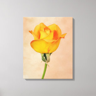 Gold Orange Single Rose Blume Leinwanddruck
