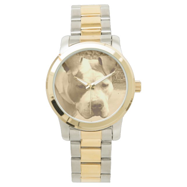 Gold Pit Bull Watch Armbanduhr (Vorderseite)
