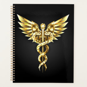 Gold Polygonal Symbol Caduceus Planer