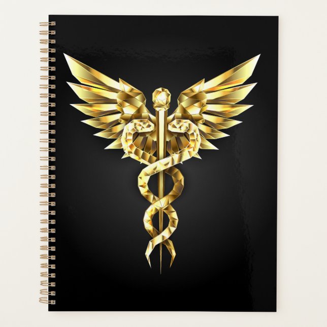 Gold Polygonal Symbol Caduceus Planer (Vorderseite)
