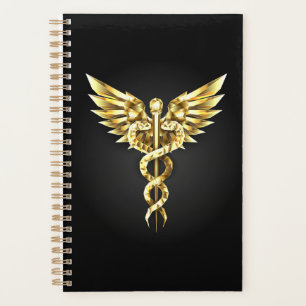 Gold Polygonal Symbol Caduceus Planer