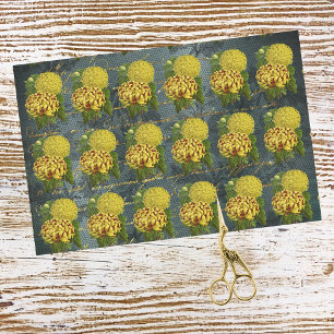 Gold Red Chrysanthemums auf Aquamarin Damaskus bei Seidenpapier