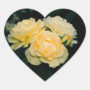 Gold Rose Bouquet Herz-Aufkleber