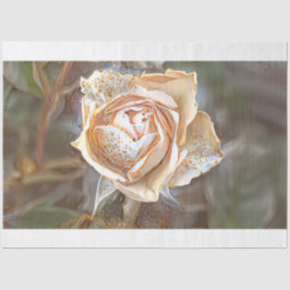 Gold Seide Einzigartige Rose Seidenpapier