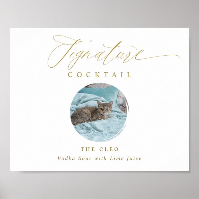 Gold Signature Drinks Unterschreiben Foto Hochzeit Poster (Vorne)