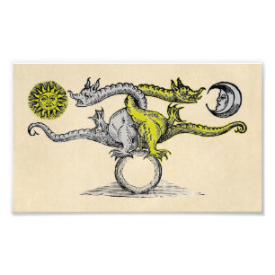 Gold & Silver Dragon Symbol Fotodruck