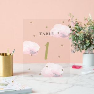 Gold Star & Pink Cloud Baby Shower Tischnummer Acrylschild