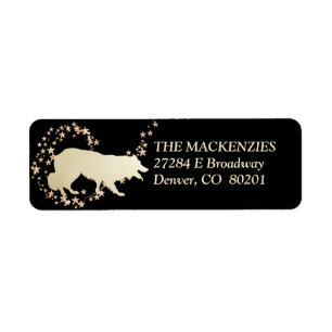 Gold Star Swirl Border Collie