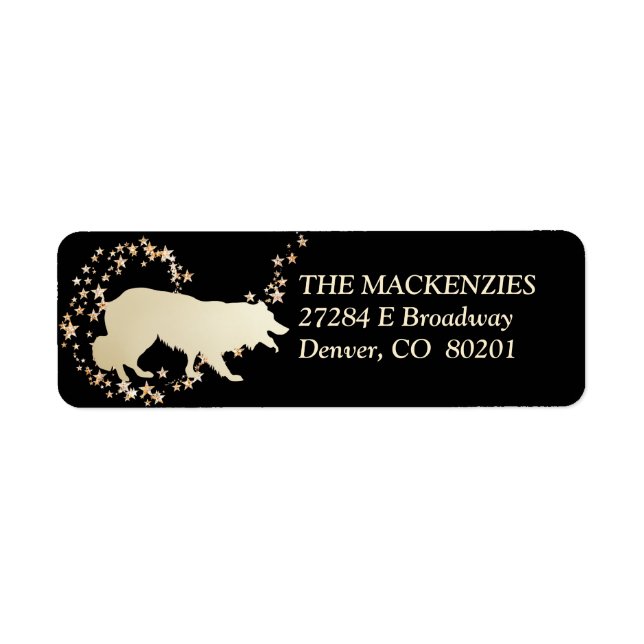 Gold Star Swirl Border Collie (Vorne)