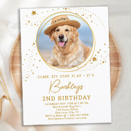 Gold Stars Hund Geburtstag Personalisiertes Tier F Einladungspostkarte