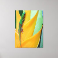 Gold Staub Day Gecko auf einer Heliconia