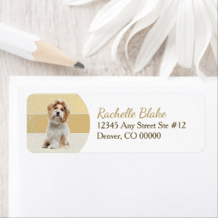 Gold Stripe Shih-Tzu Hund Rücksendeadresse