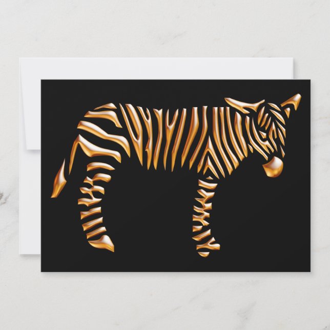 Gold Stripe Zebra (Vorderseite)